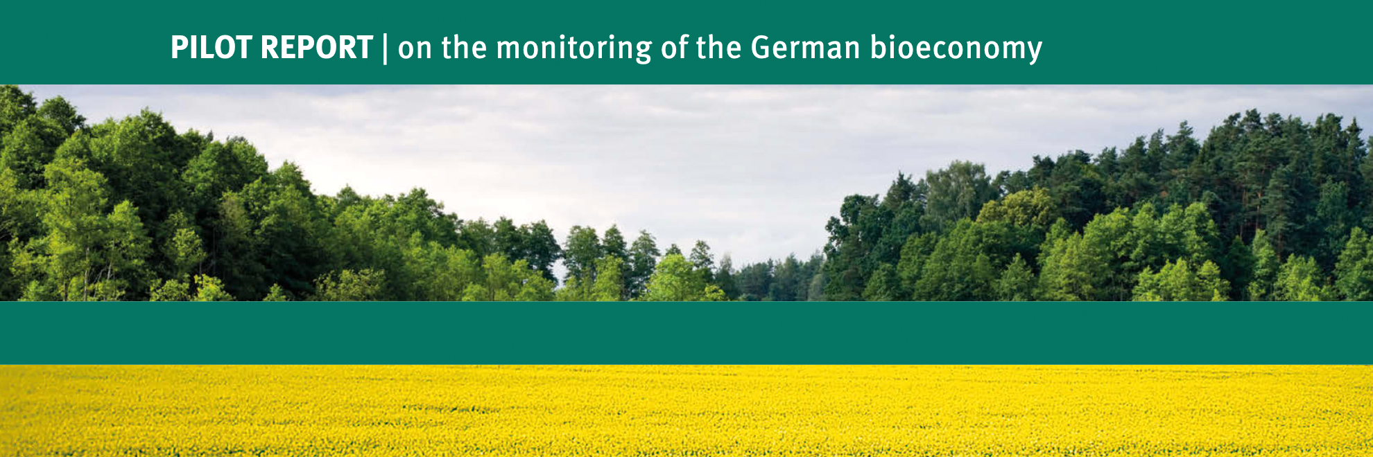 The pilot report: monitoring bioeconomy.