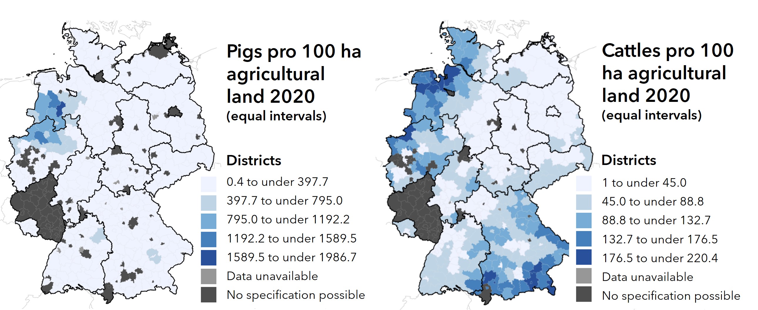 4212 EN Pigs Cattles Maps Grafik
