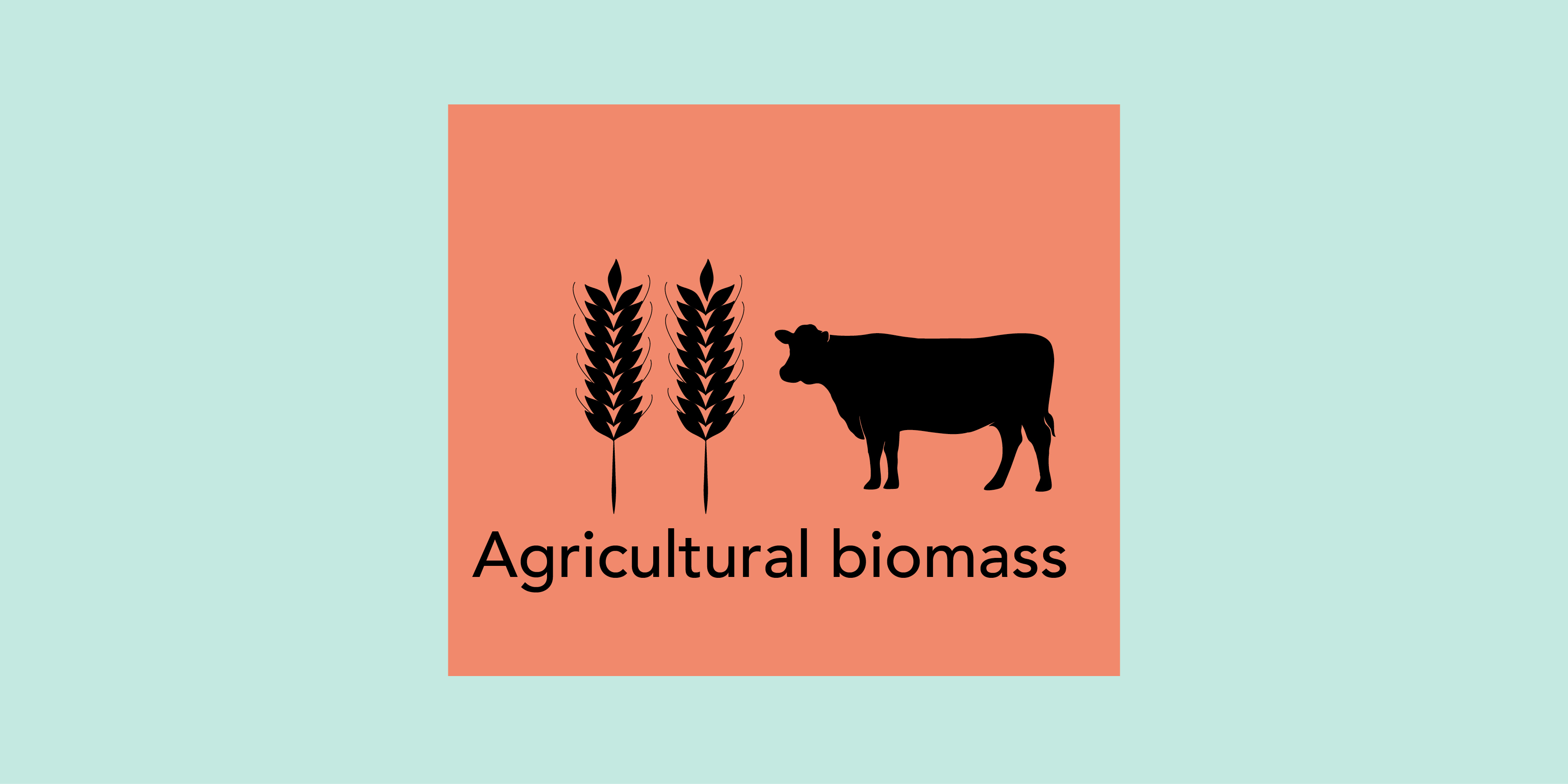 Landwirtschaftliche Biomasse.