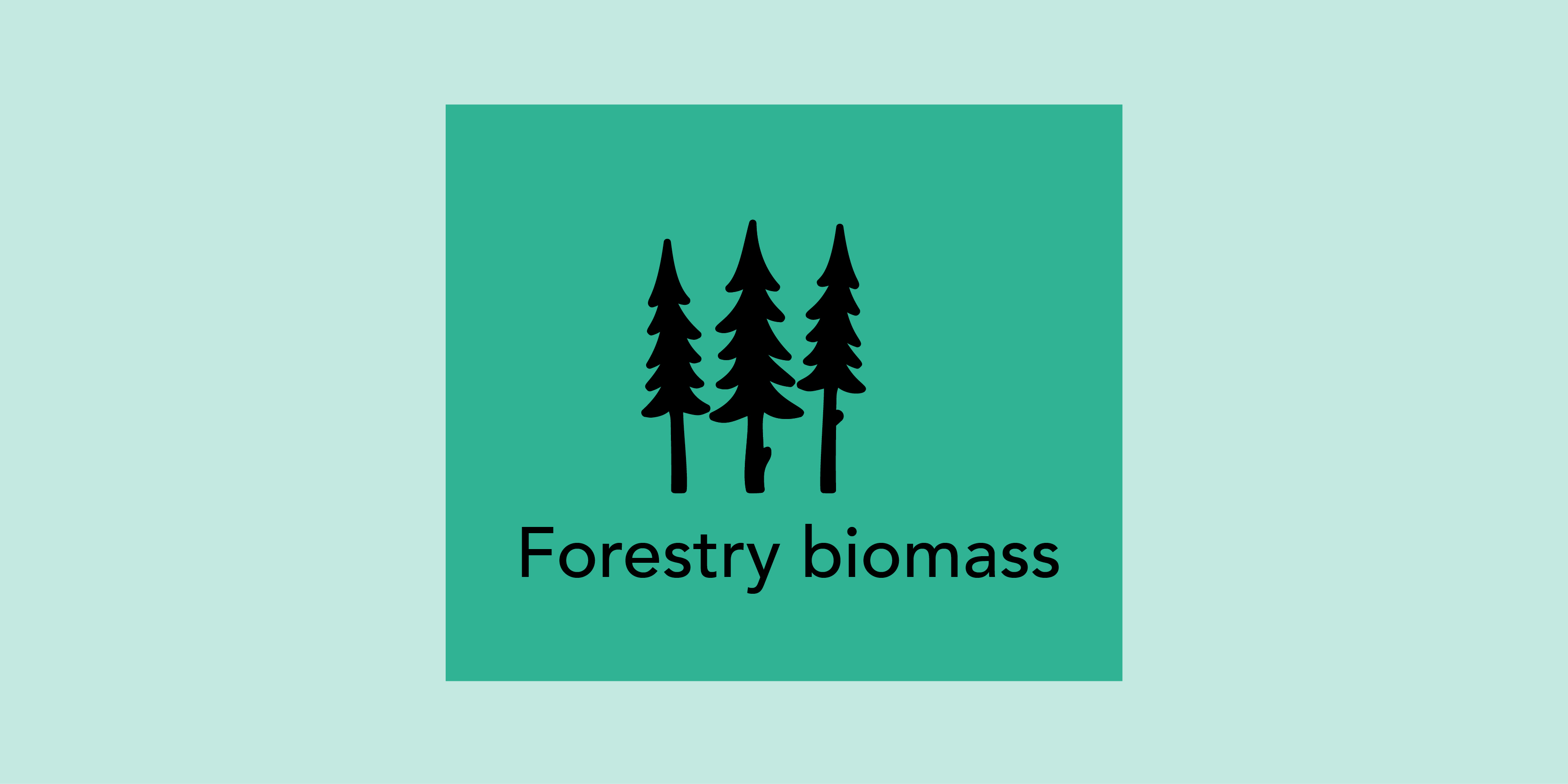 Biomass from forests and wood.